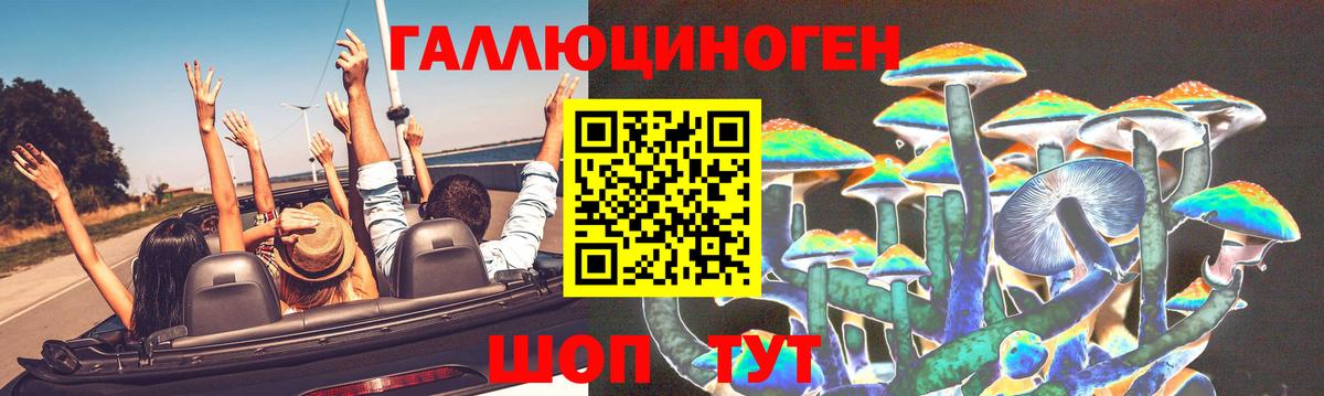 Кемерово  купить закладку  Вход с VPN  Псилоцибиновые грибы мухоморы 