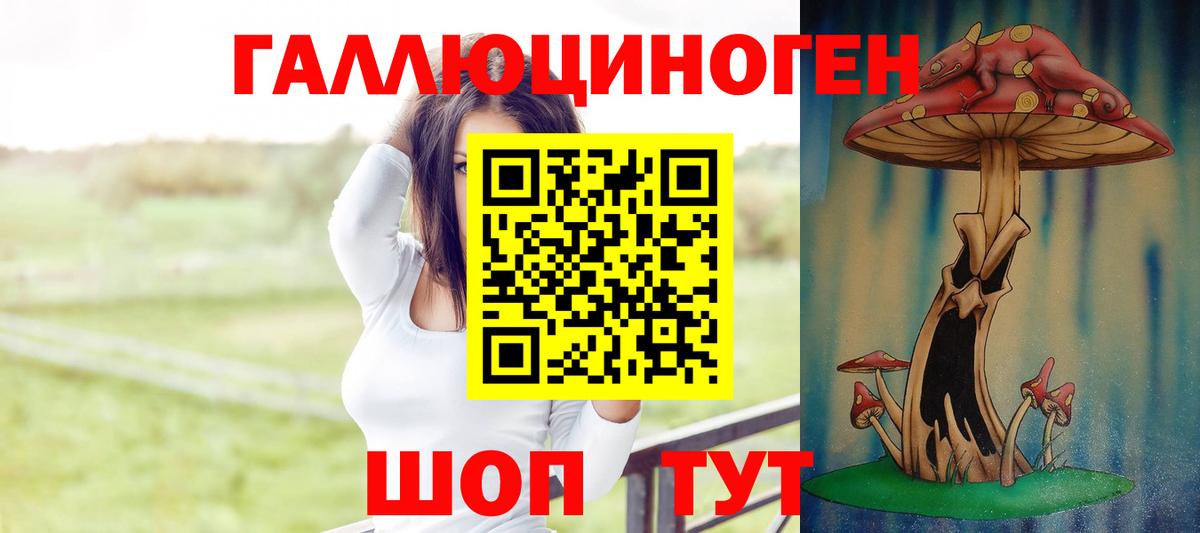 Псилоцибиновые грибы GOLDEN TEACHER Кемерово