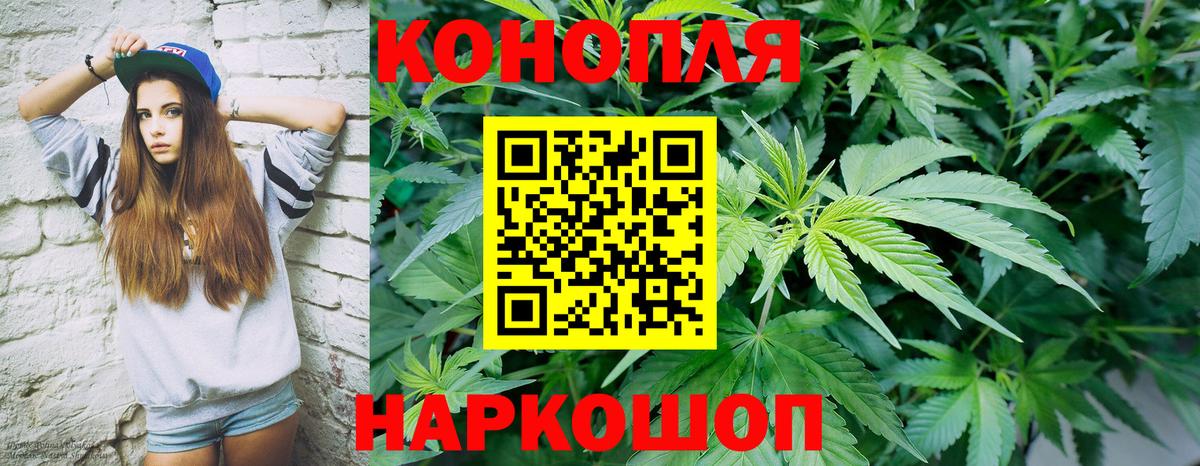 Бошки Шишки сатива Кемерово